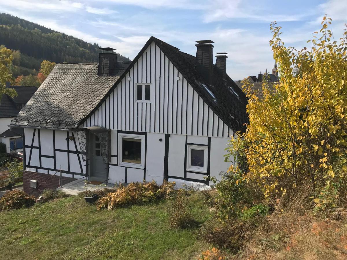 Landhuis Züschen Villa Winterberg Exterior foto